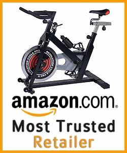 phoenix 98623 revolution cycle pro ii indoor cycling trainer